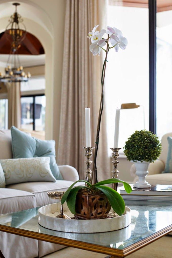 relaxed coastal style living room with custom draperies, soft finish brass coffee table, orchid in rustic pot, and white sofa with pale blue toss cushion