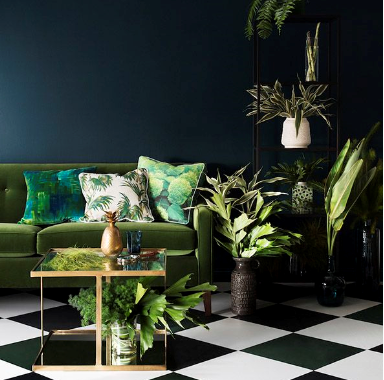 charming colourful small Boho style living room with deep turquoise wall colour, green sofa and healthy house plants