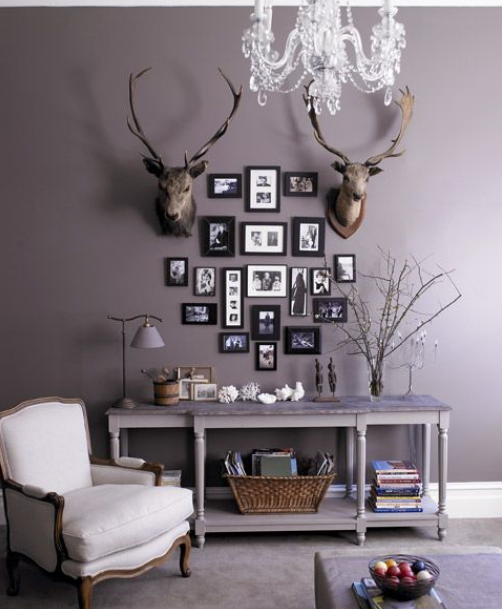 stag heads as decor in relaxed living room