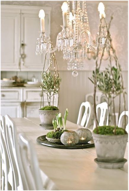 light and bright dining space with white dining table and chairs, with antique chandelier and pots of moss off white kitchen