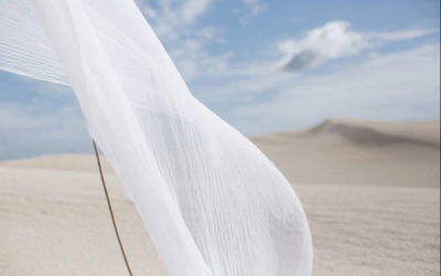 Window Treatment Accents and Embellishments in Today’s Room Designs