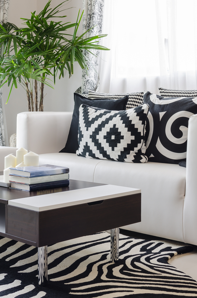 small contemporary living room with white, square arm sofa, black and white geometric motif toss cushions, zebra rug, and large, healthy house plant