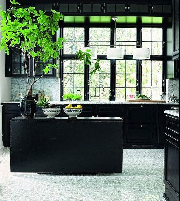 striking black lacquer kitchen with small island, stone countertops, large windows, triple drum lighting, and vibrant living plant in a black pot