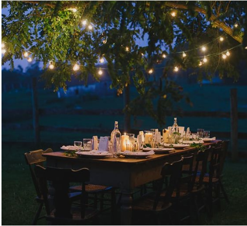 wide view of charming outdoor evening dinner party in summer