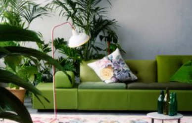 So You’re Tired of the Same Old Sofa Colours