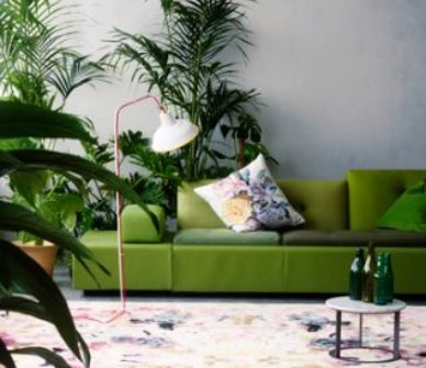 So You’re Tired of the Same Old Sofa Colours